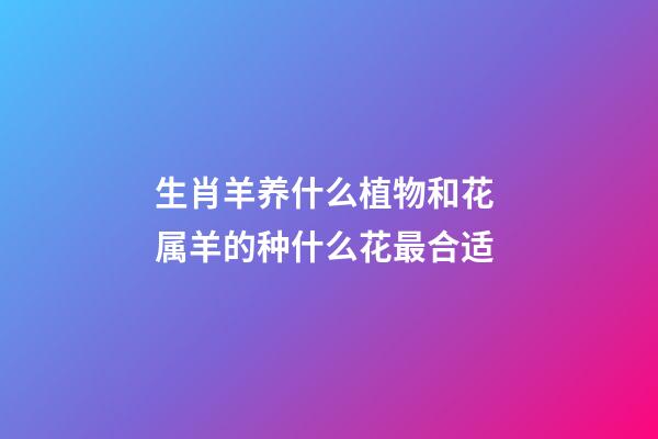 生肖羊养什么植物和花 属羊的种什么花最合适-第1张-观点-玄机派